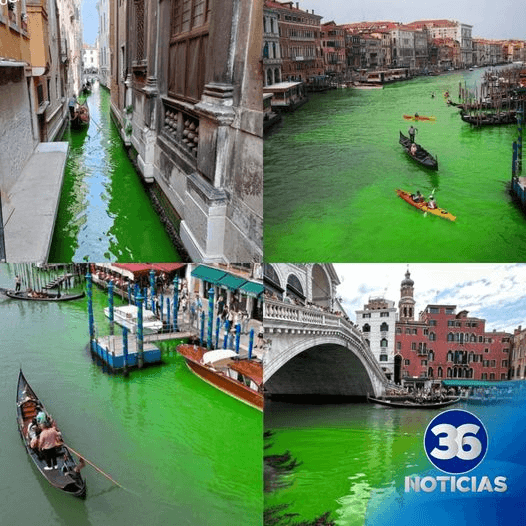 El Gran Canal de Venecia se tiñe de verde neón